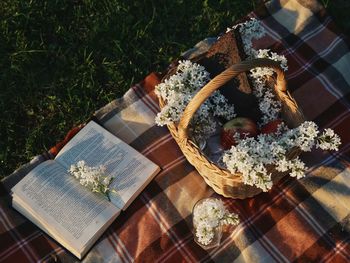 High angle view of potted plant on table
