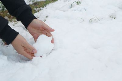 Low section of person standing on snow