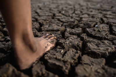 Close-up of human feet on cracked land