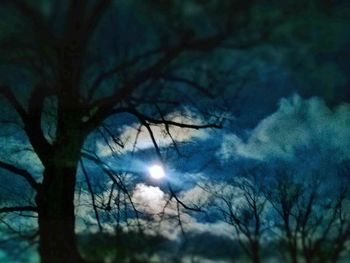 Low angle view of bare trees against sky at night