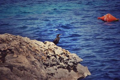 Rocks in sea