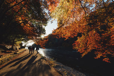 People on street by river in park during autumn