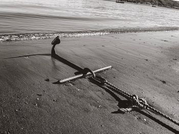 High angle view of people on beach