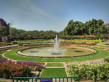 View of fountain in garden