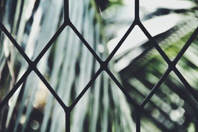 Close-up of chainlink fence against sky