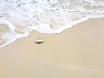 High angle view of surf on beach