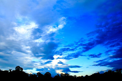 Low angle view of silhouette trees against blue sky