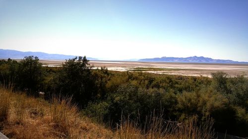 Scenic view of landscape against clear sky