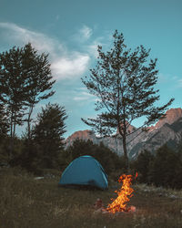 Camping in nature  