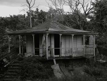 Abandoned house by trees in forest