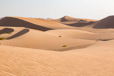 Sand dune in desert against clear sky