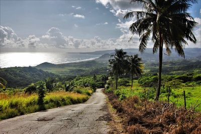 Scenic view of road by sea against sky