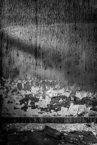 Close-up of plant in background