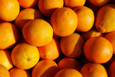 Full frame shot of oranges at sunlight 