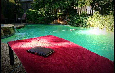 Swimming pool by trees