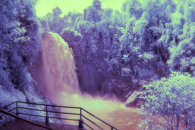 Scenic view of waterfall in forest