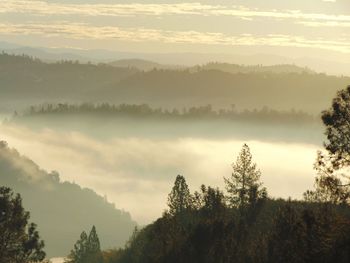 fog