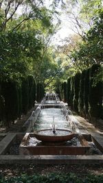 Scenic view of forest