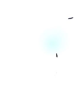 Low angle view of birds flying in sky