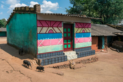 View of an animal on the wall of building