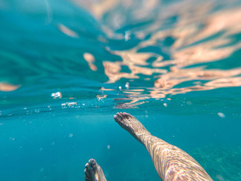 Low section of woman swimming in sea