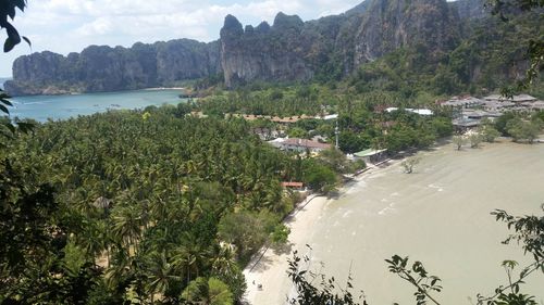 Scenic view of sea and trees against sky