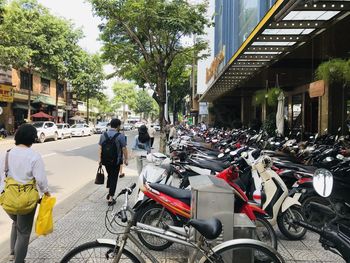 People riding bicycles on street in city