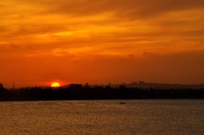 Scenic view of silhouette trees against orange sky