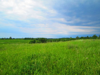 Scenic view of field against sky