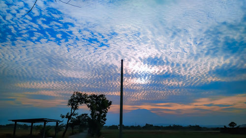 Low angle view of silhouette trees against sky during sunset