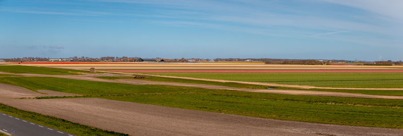 Scenic view of field against sky in city