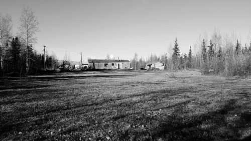 Trees against clear sky