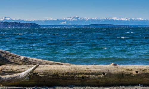 Scenic view of sea against blue sky