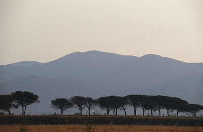 Scenic view of field and mountains against clear sky