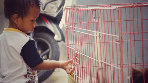 Side view of baby boy touching birdcage