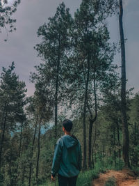 Rear view of man standing by trees in forest against sky