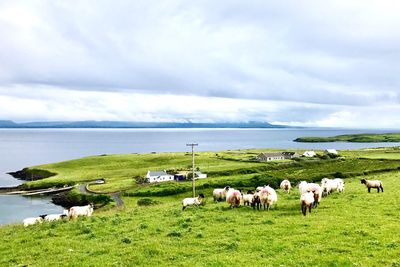 A regular day in ireland