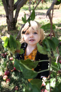 Portrait of cute girl standing in apple tree field