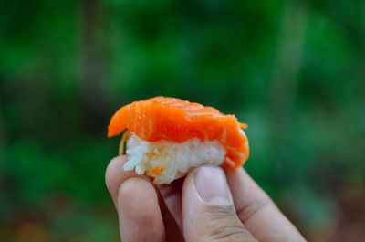 Close-up of hand holding mushroom