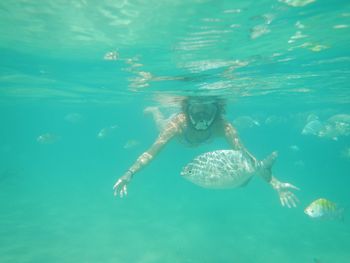 Jellyfish swimming in water