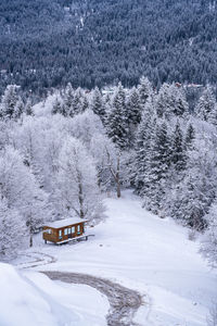 Scenic view of snow covered field