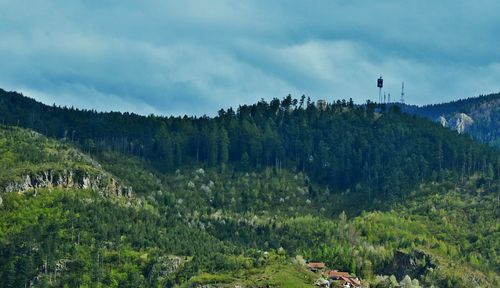 Panoramic view of trees against sky