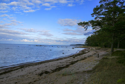 Scenic view of beach against sky