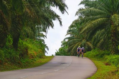 Men riding bicycle on road