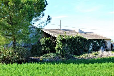 House on field by trees against sky