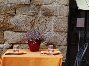Potted plants in room