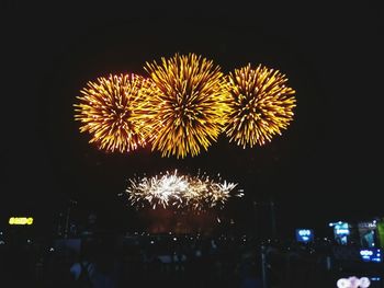 Low angle view of firework display at night