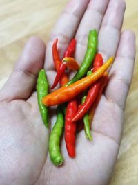 Close-up of hand holding red chili peppers