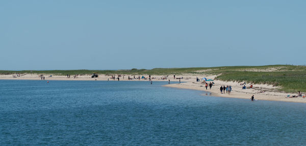 People at beach against clear blue sky