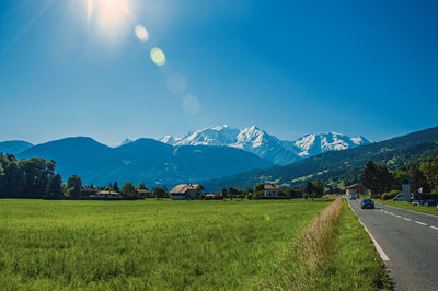 Scenic view of field against clear blue sky